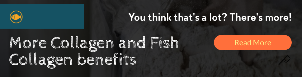 Fish Collagen 970x250 Layout1981 1f4ralb
