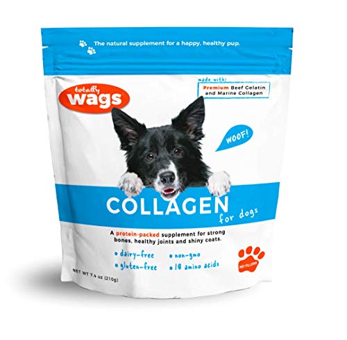 The Science Behind Fish Collagen and Its Benefits for Pets